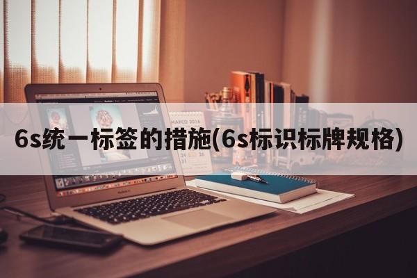 6s统一标签的措施(6s标识标牌规格)